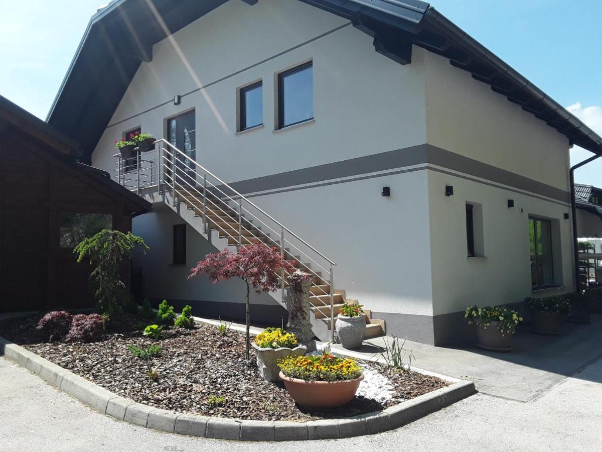 Apartmaji Tisa In Zana Rovte Ngoại thất bức ảnh