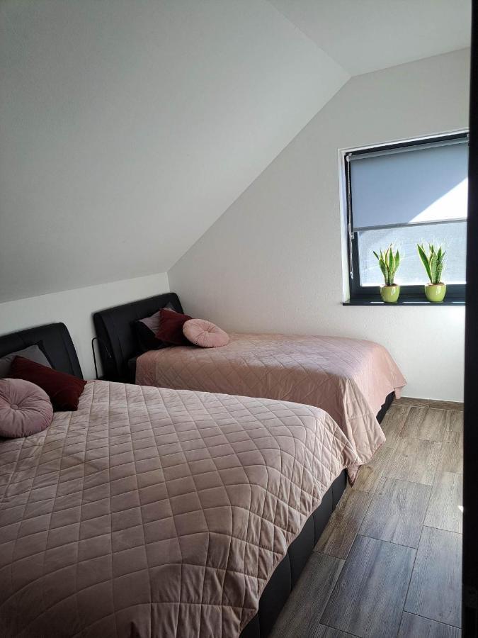 Apartmaji Tisa In Zana Rovte Ngoại thất bức ảnh