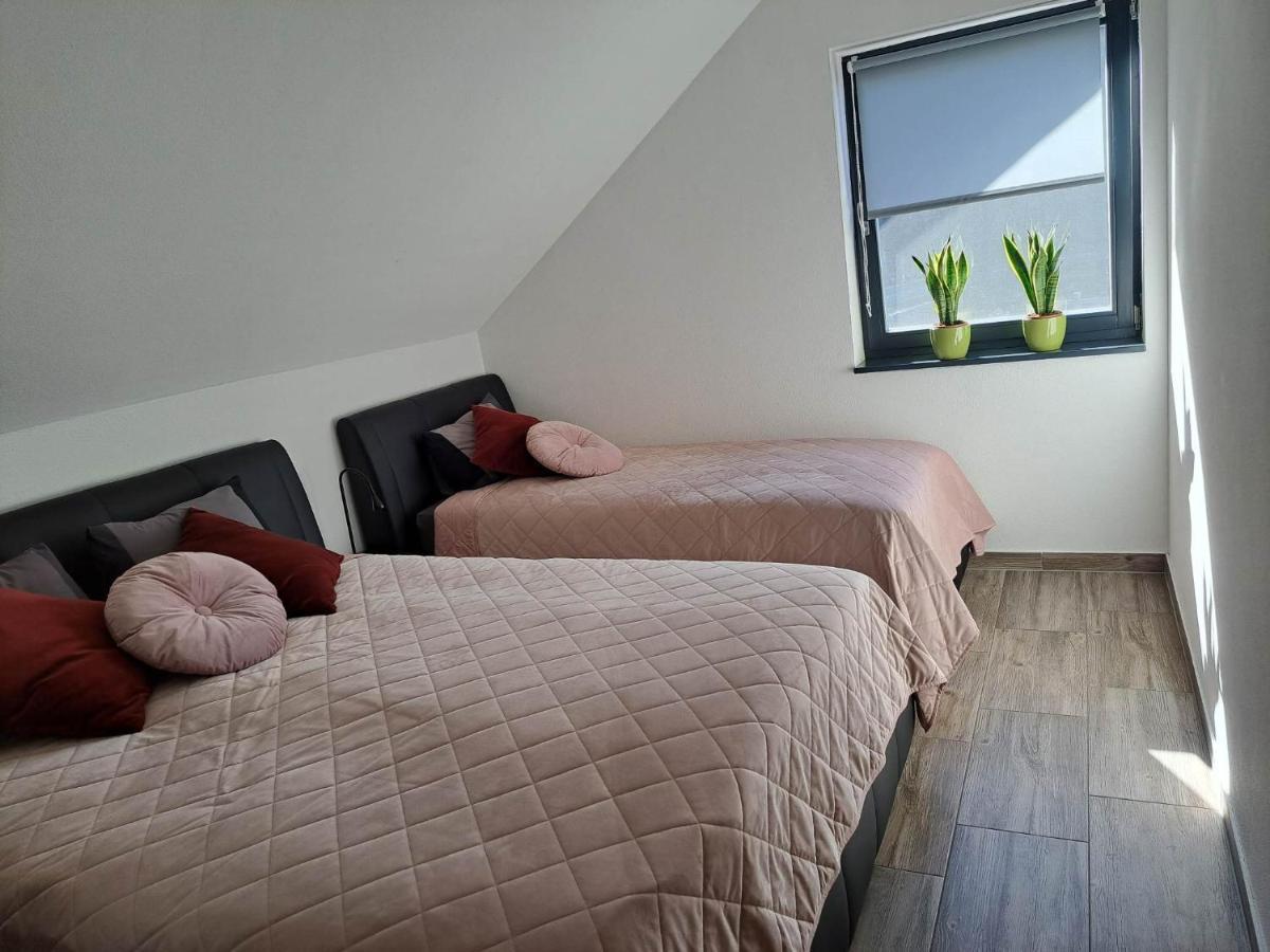 Apartmaji Tisa In Zana Rovte Ngoại thất bức ảnh